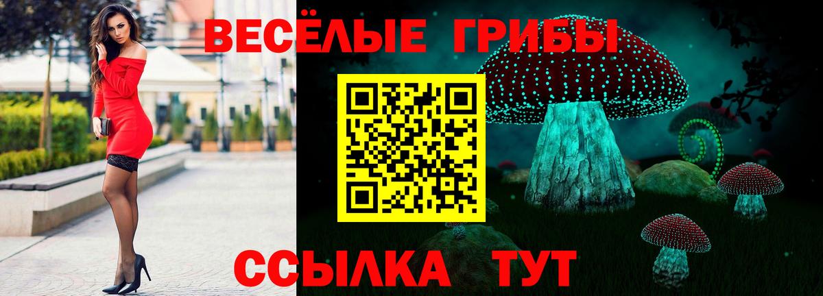 Галлюциногенные грибы MAGIC MUSHROOMS  где купить наркоту  Заречный  Вход с VPN 